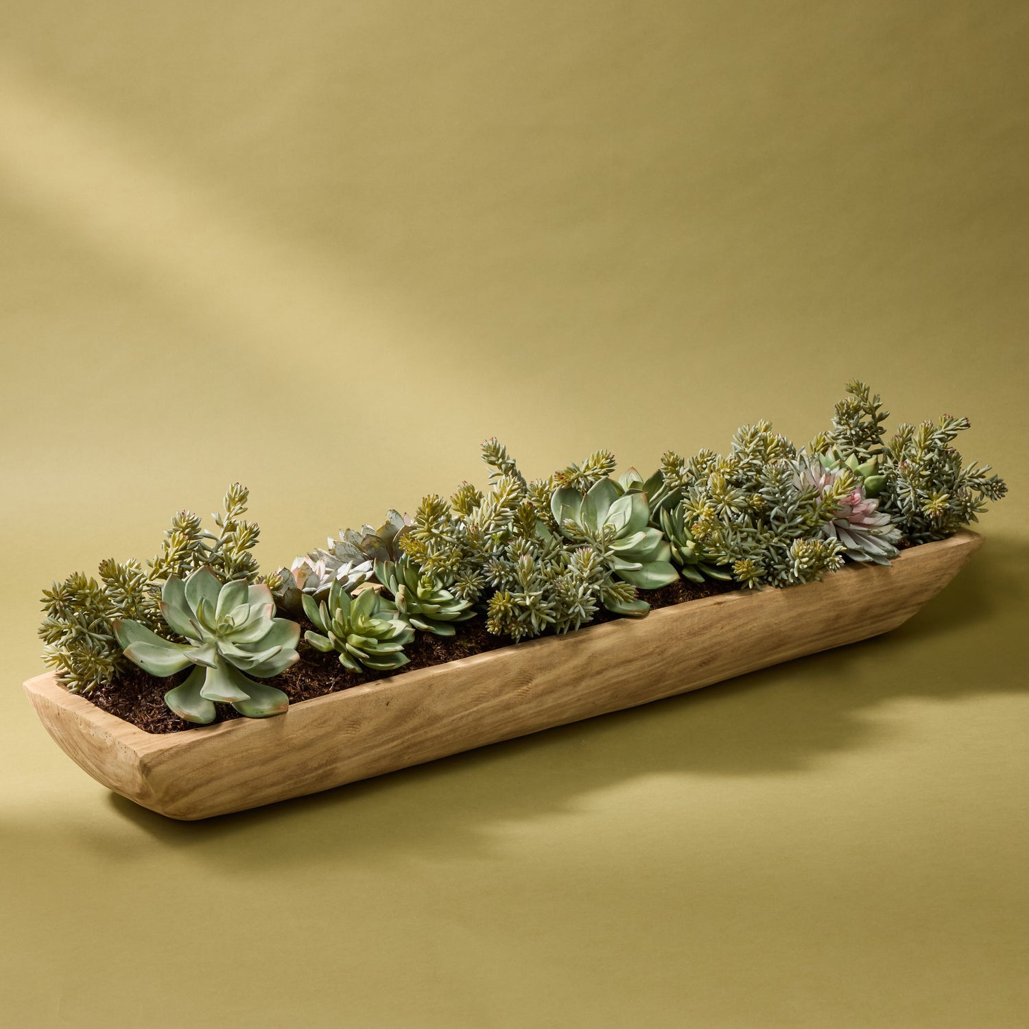 succulents in tray Artificial Echeveria Succulent Garden Arrangement - Dansk Tray