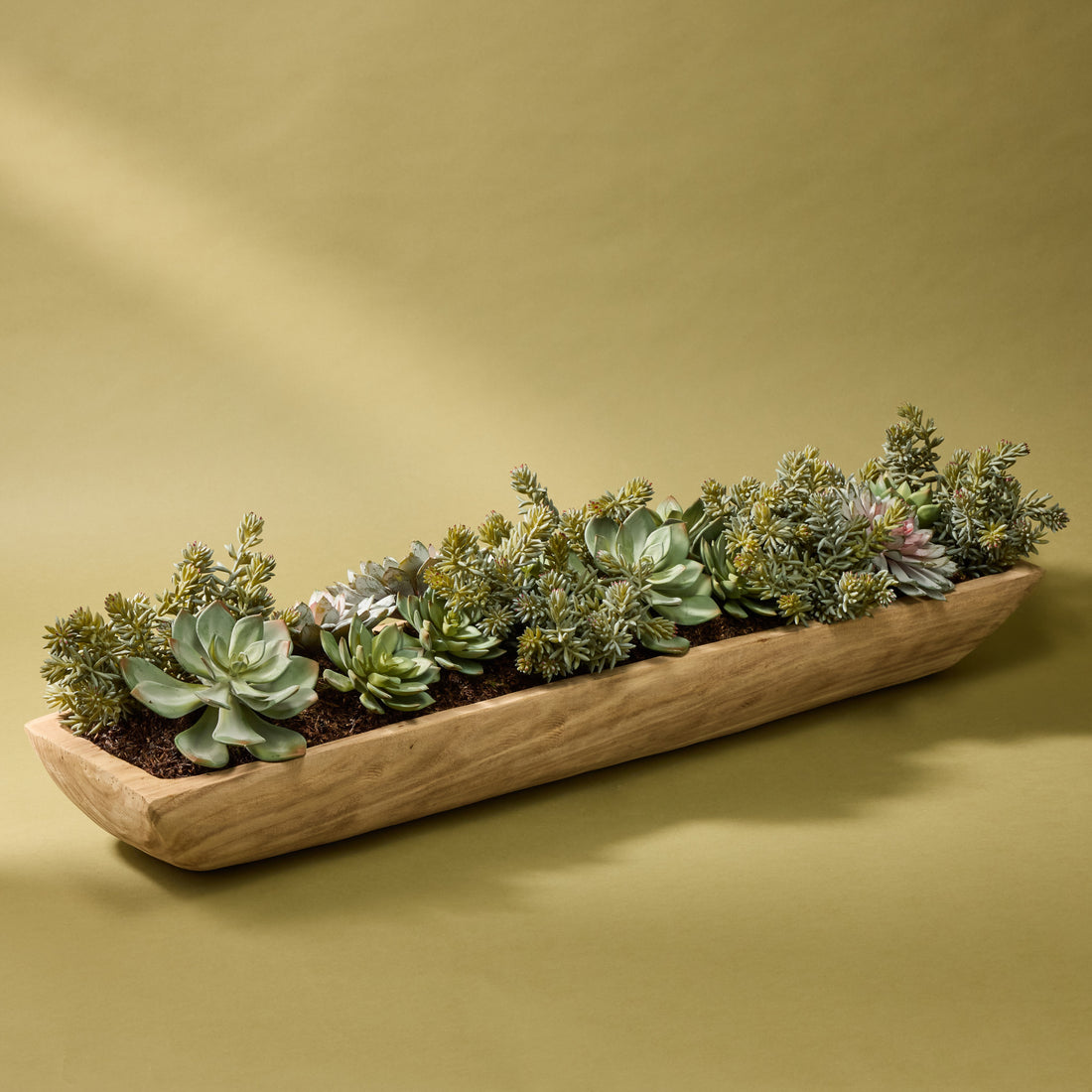 Faux Echeveria Succulent Garden Arrangement - Dansk Tray