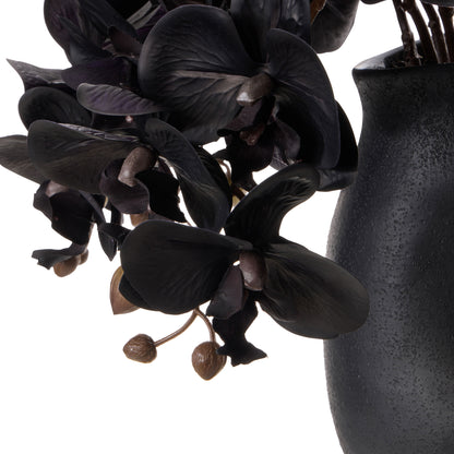 Faux Phalaenopsis - Maliah Pot | Black -  65cm