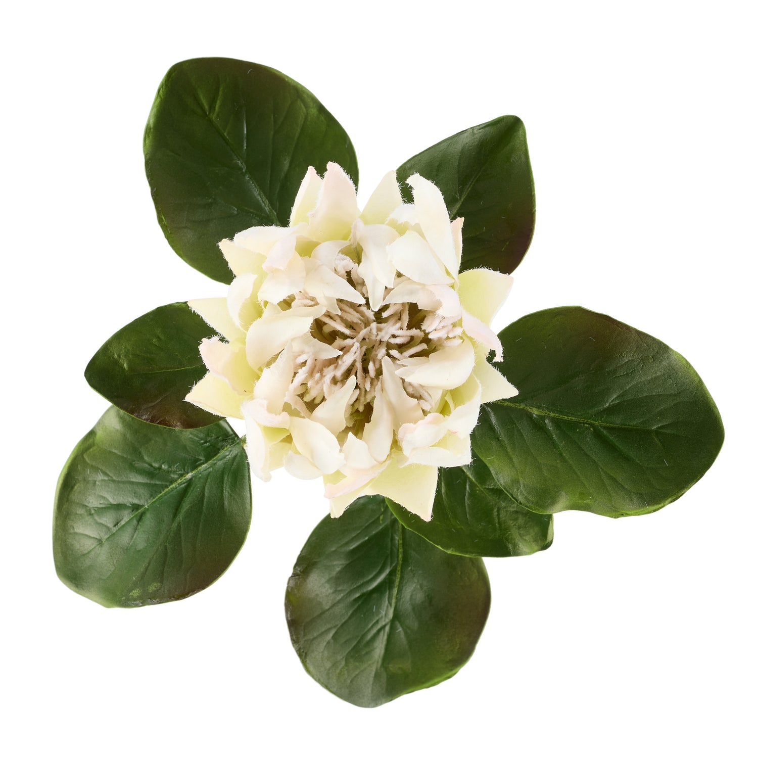 Faux King Protea Stem | White - 60cm