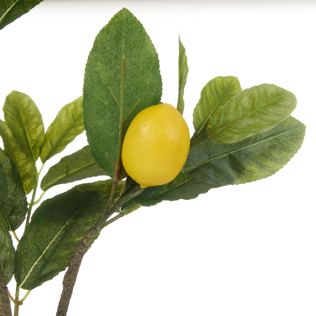 Faux Lemon Spray | 91cm