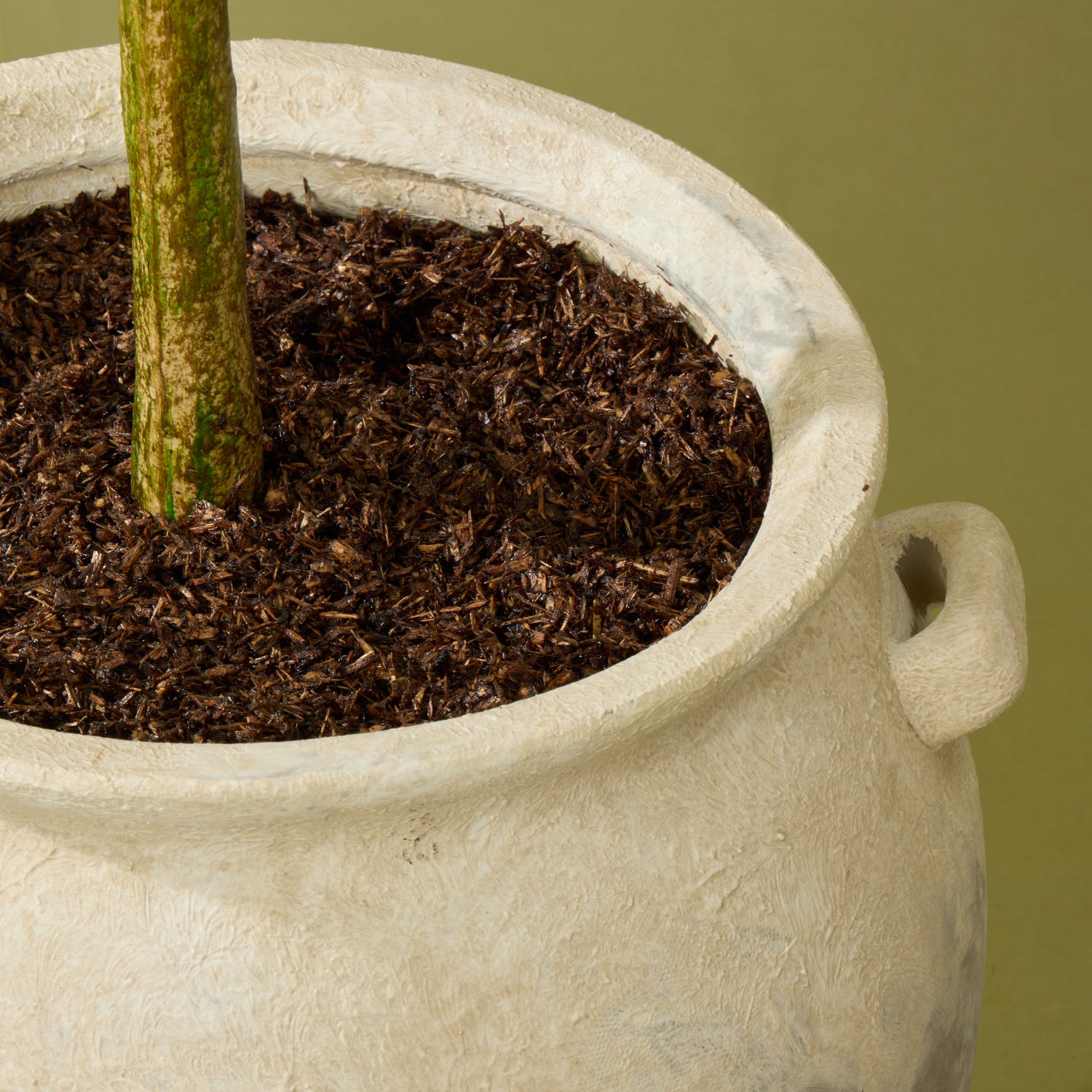 Faux Olive Tree - Inga Vase | Green - 166cm