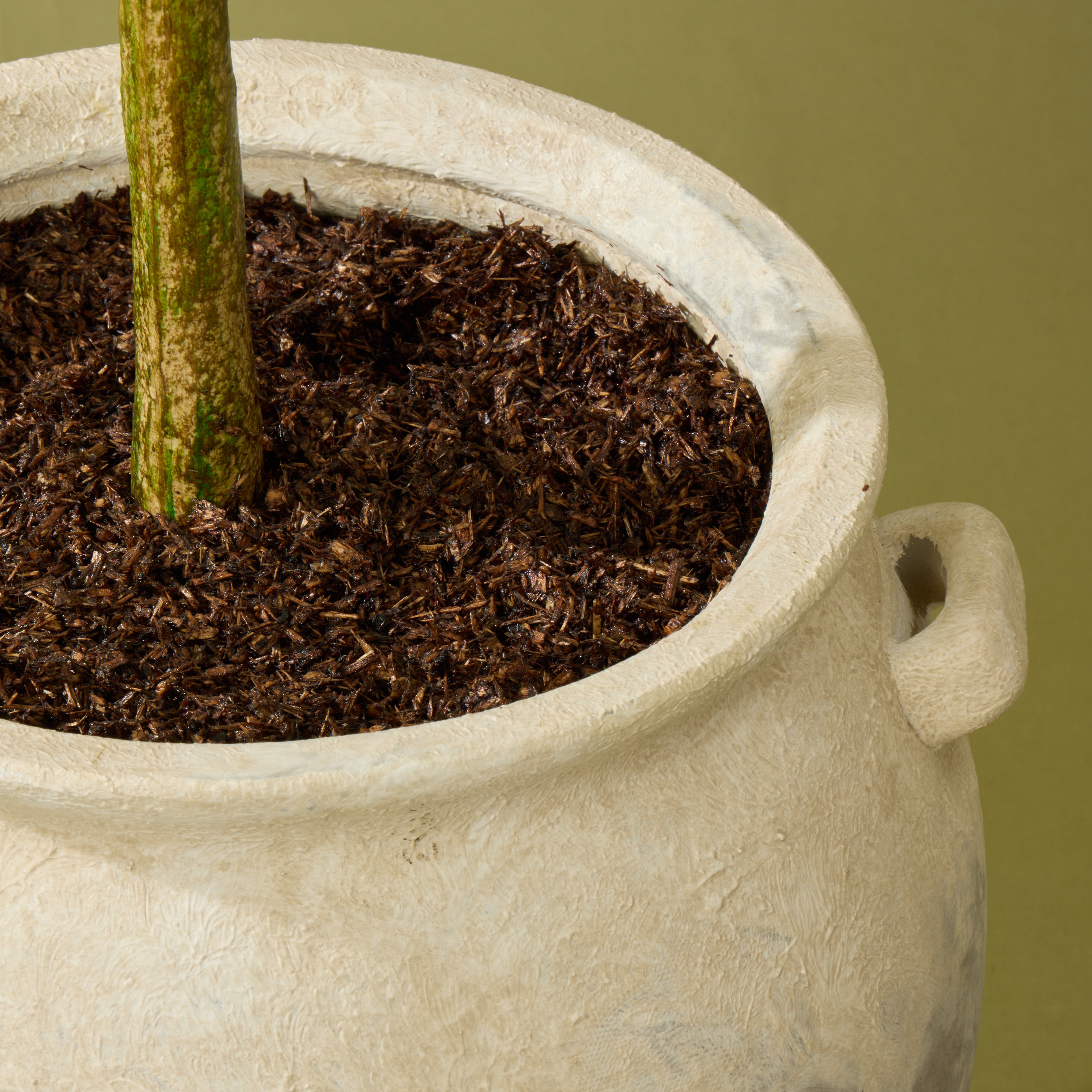 Faux Olive Tree - Inga Vase | Green - 166cm