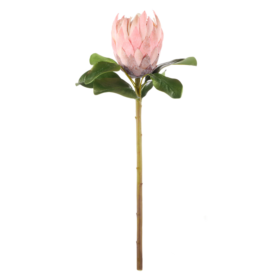 Faux Grand Protea Stem | Pink -  63cm