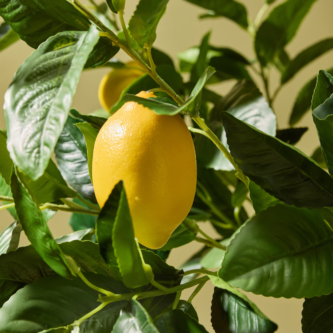 Faux Lemon Tree | 120cm