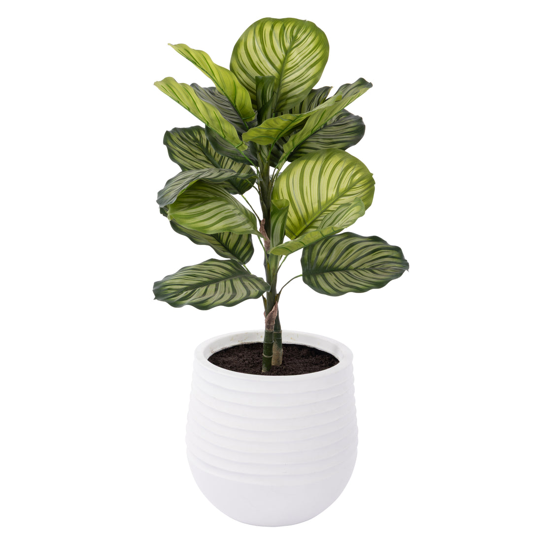 Faux Calathea Plant - Ryker Stonelite Planter | White - 113cm