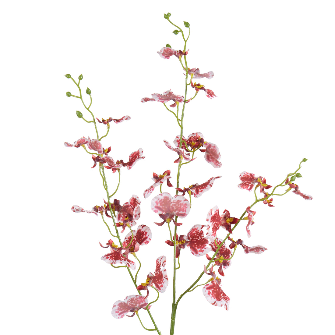 Faux Dancing Orchid Spray | Burgundy - 98cm