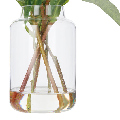 Faux Pitaya Kangaroo Paw Arrangement - Pauline Vase | Cream - 47cm