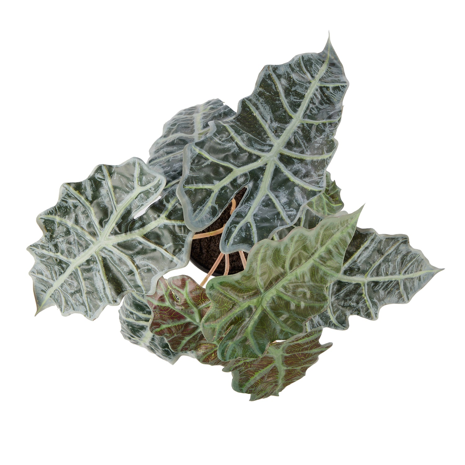 Faux Alocasia - Garden Pot | 43cm