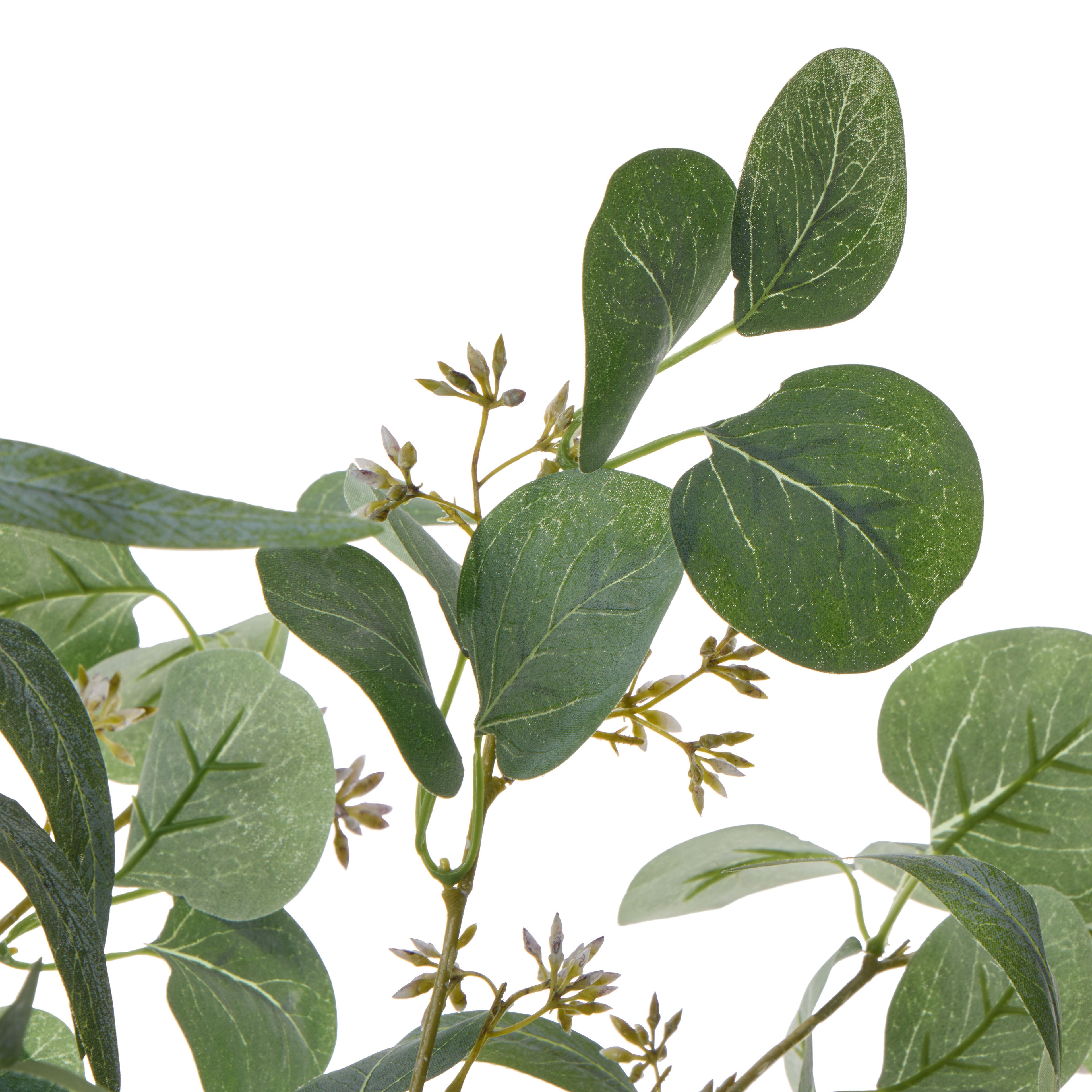 Faux Eucalyptus Gum Nut - Apollo Vase | Green -  80cm