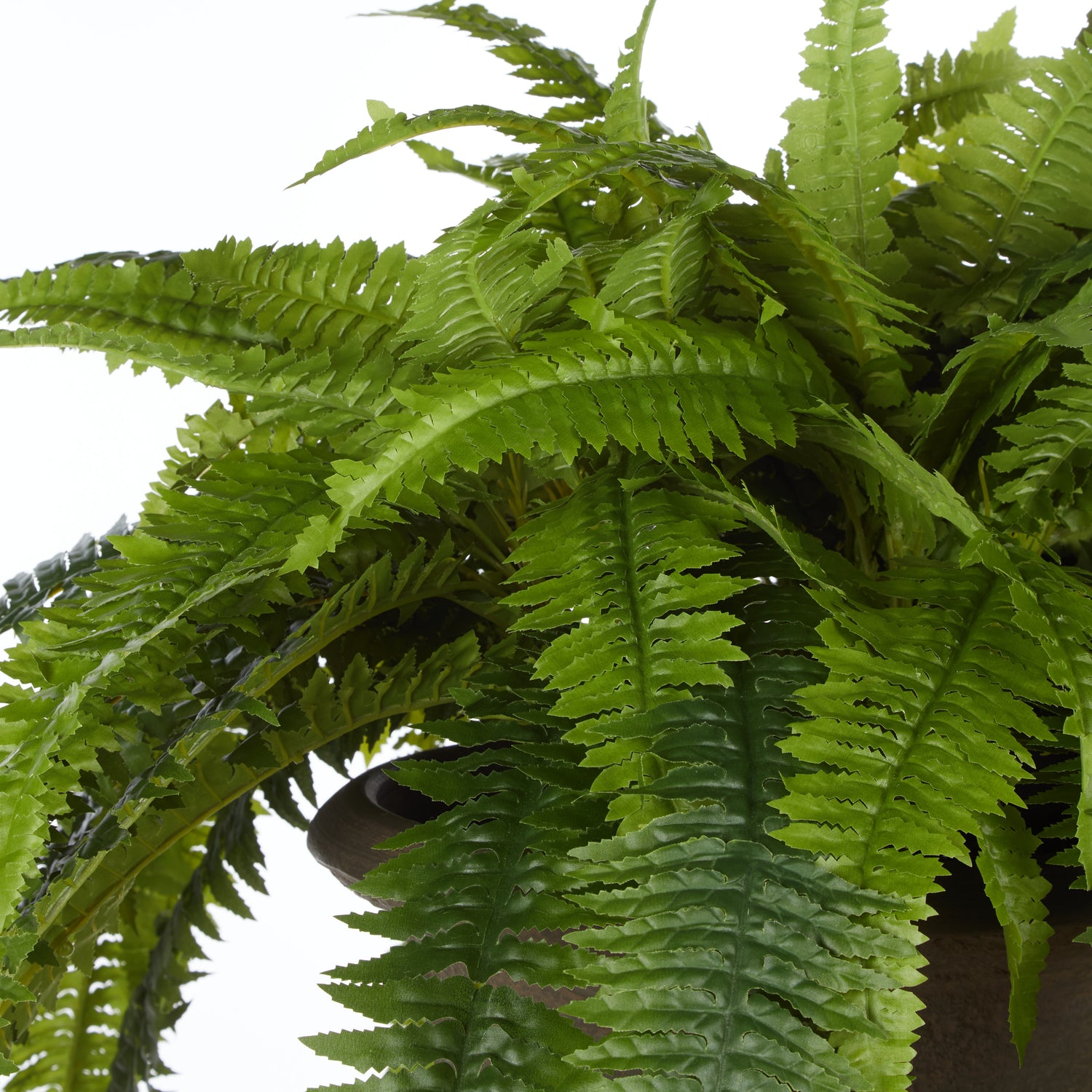 Faux Boston Fern - Vintage Urn | 86cm