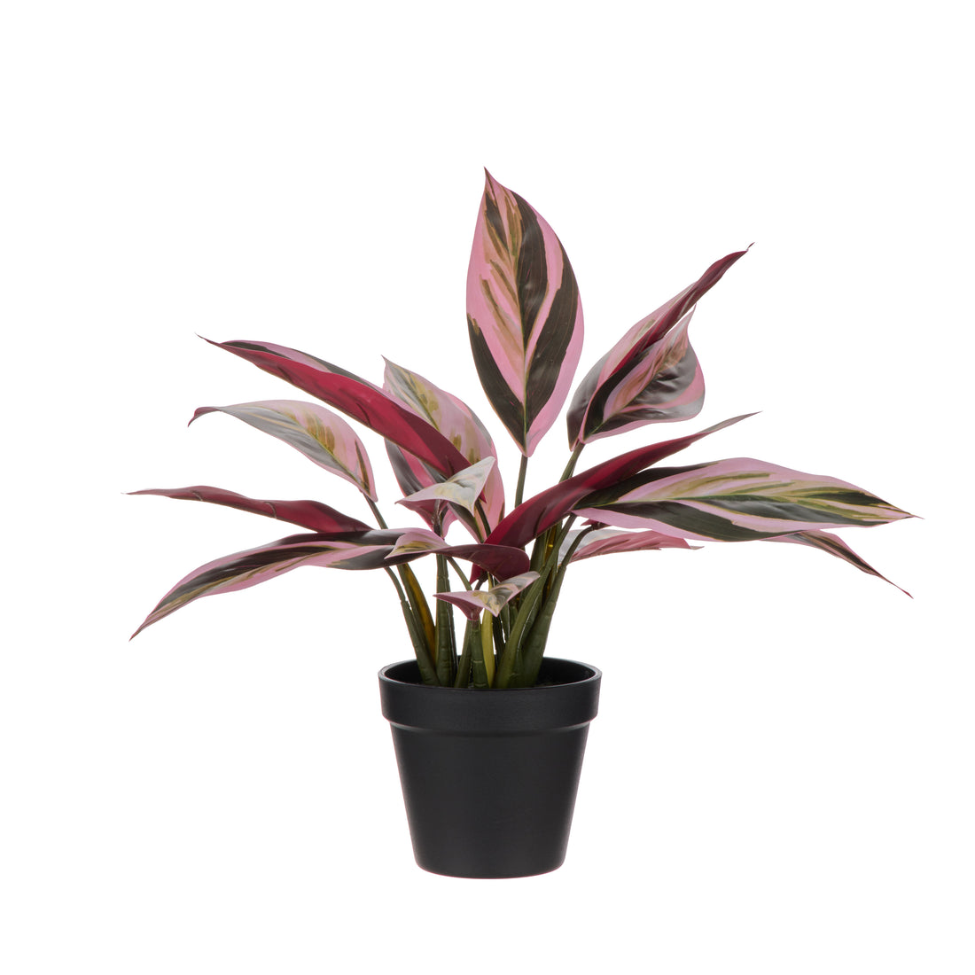 Faux Cordyline Plant | Burgundy  -  39cm