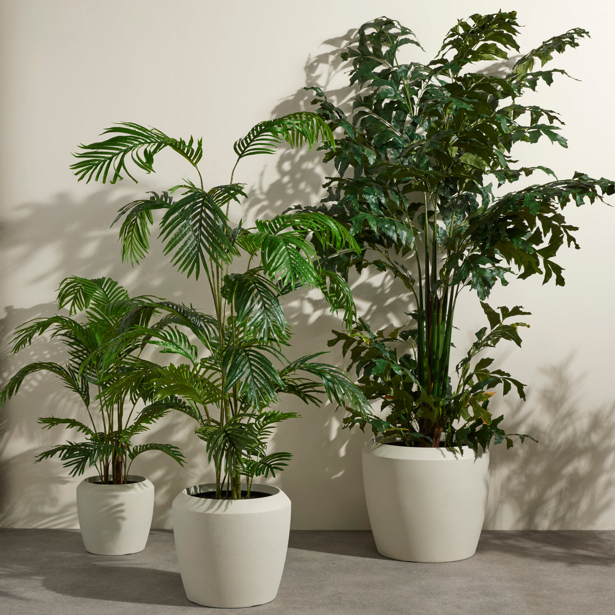 Rogue Caryota Palm Tree - Vienna Planter Green