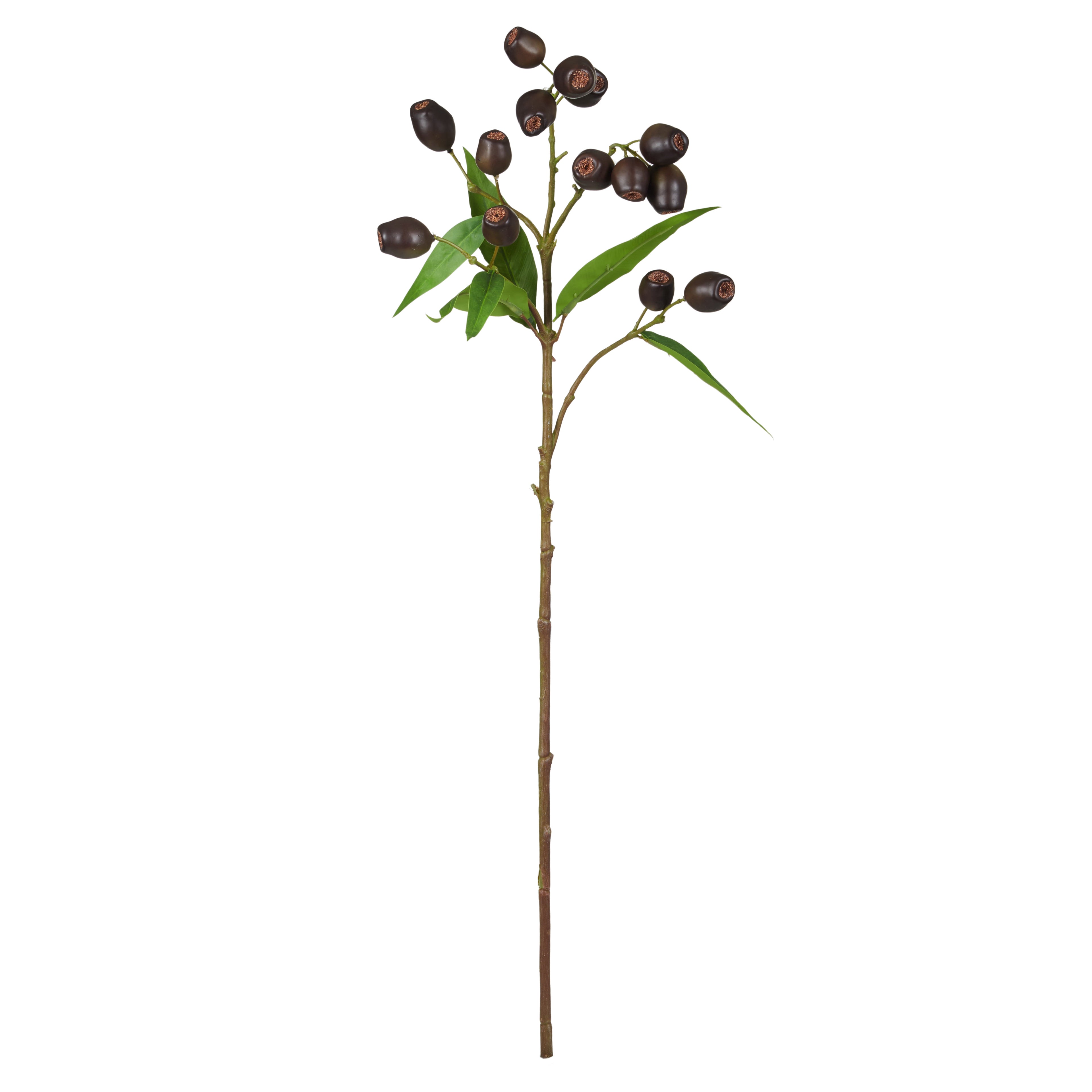 Faux Olea Gum Nut Spray | 64cm