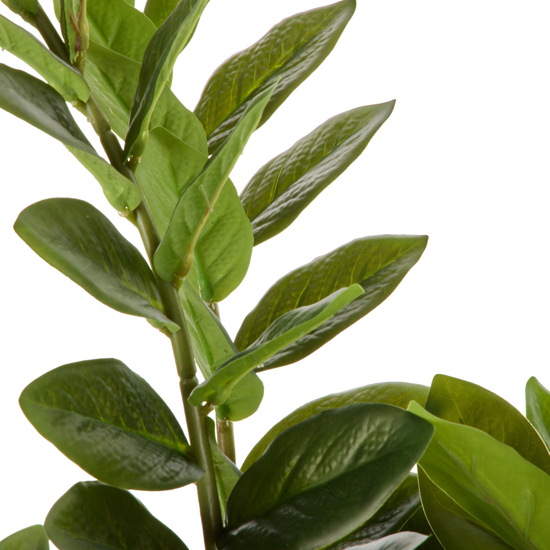 Faux Zanzibar - Nora Pot | Green -  64cm