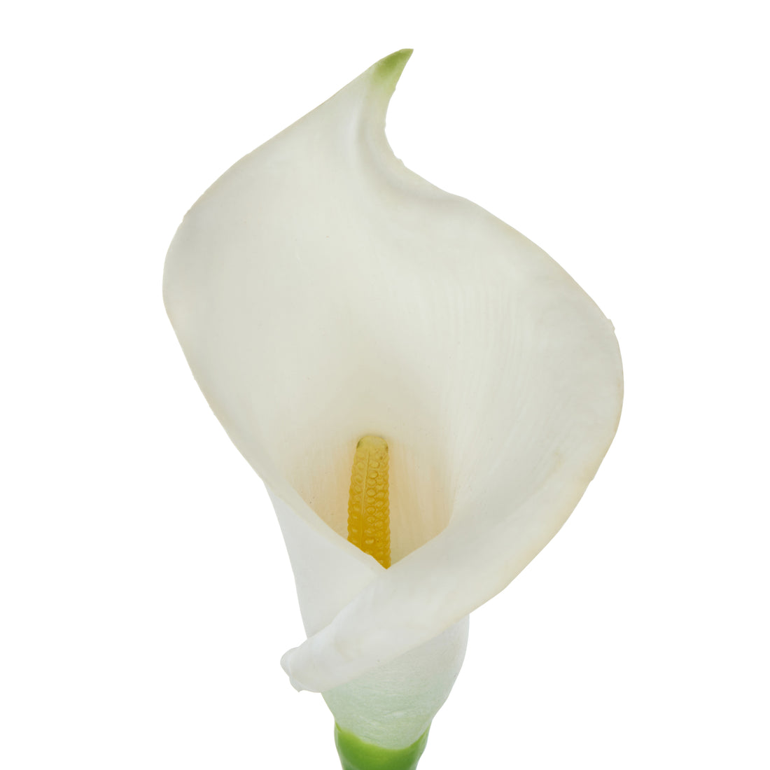 Faux Calla Lily Stem | White - 64cm