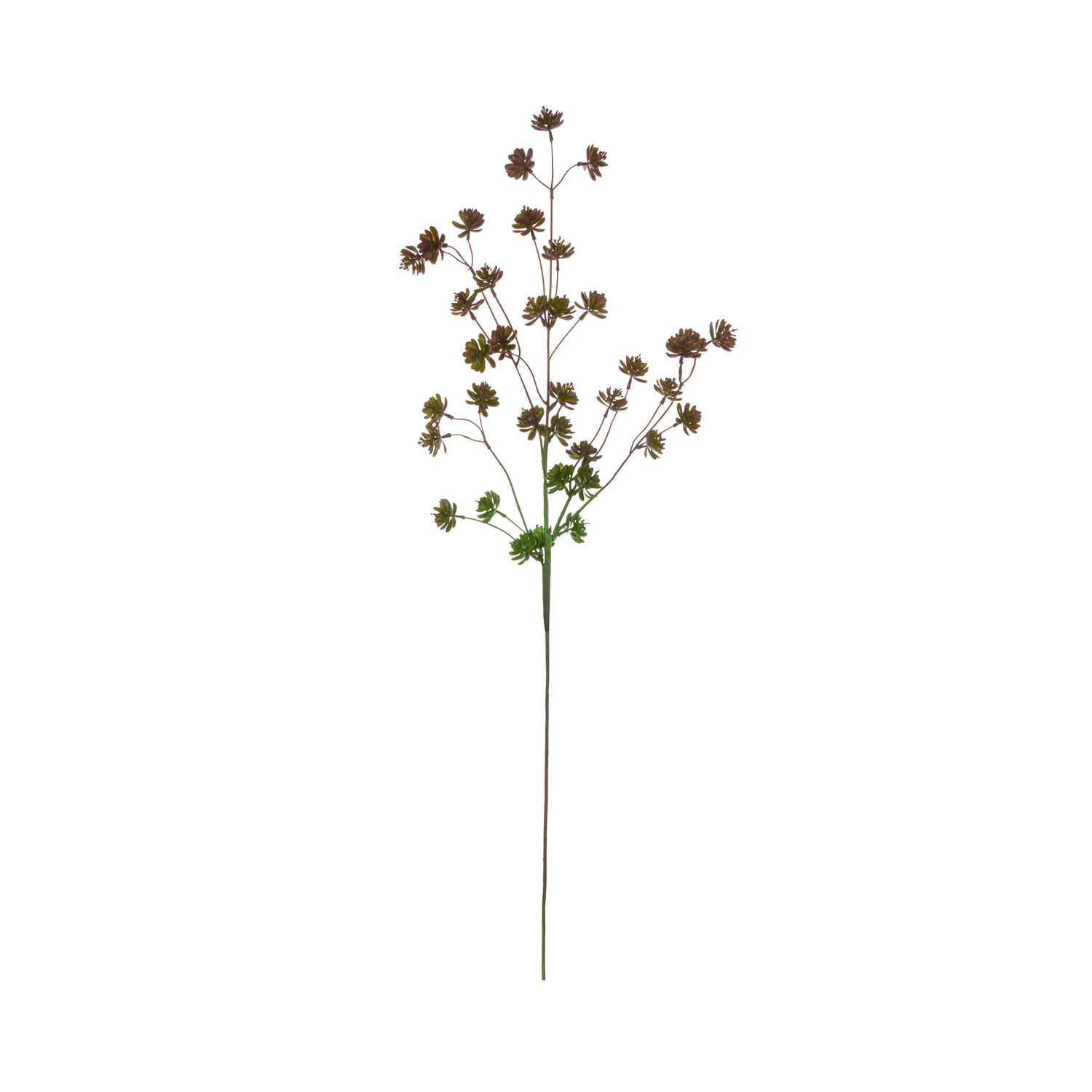 Faux Succulent Spray | Burgundy - 97cm