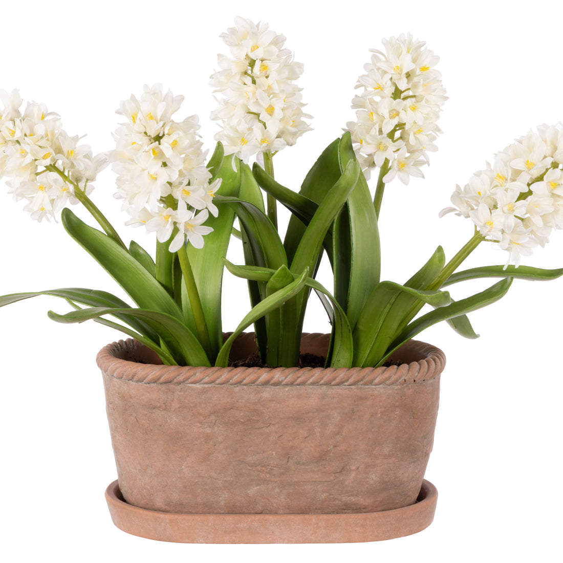Faux Hyacinth Plant – Chinon Oval Pot | 45cm