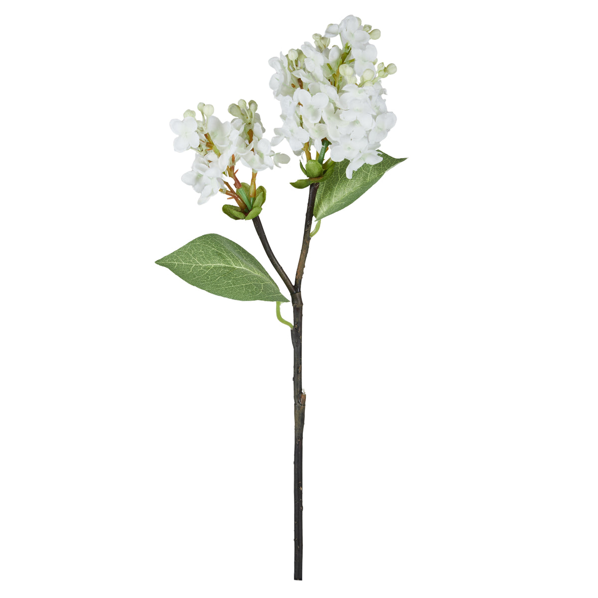 Rogue Lilac Pick White