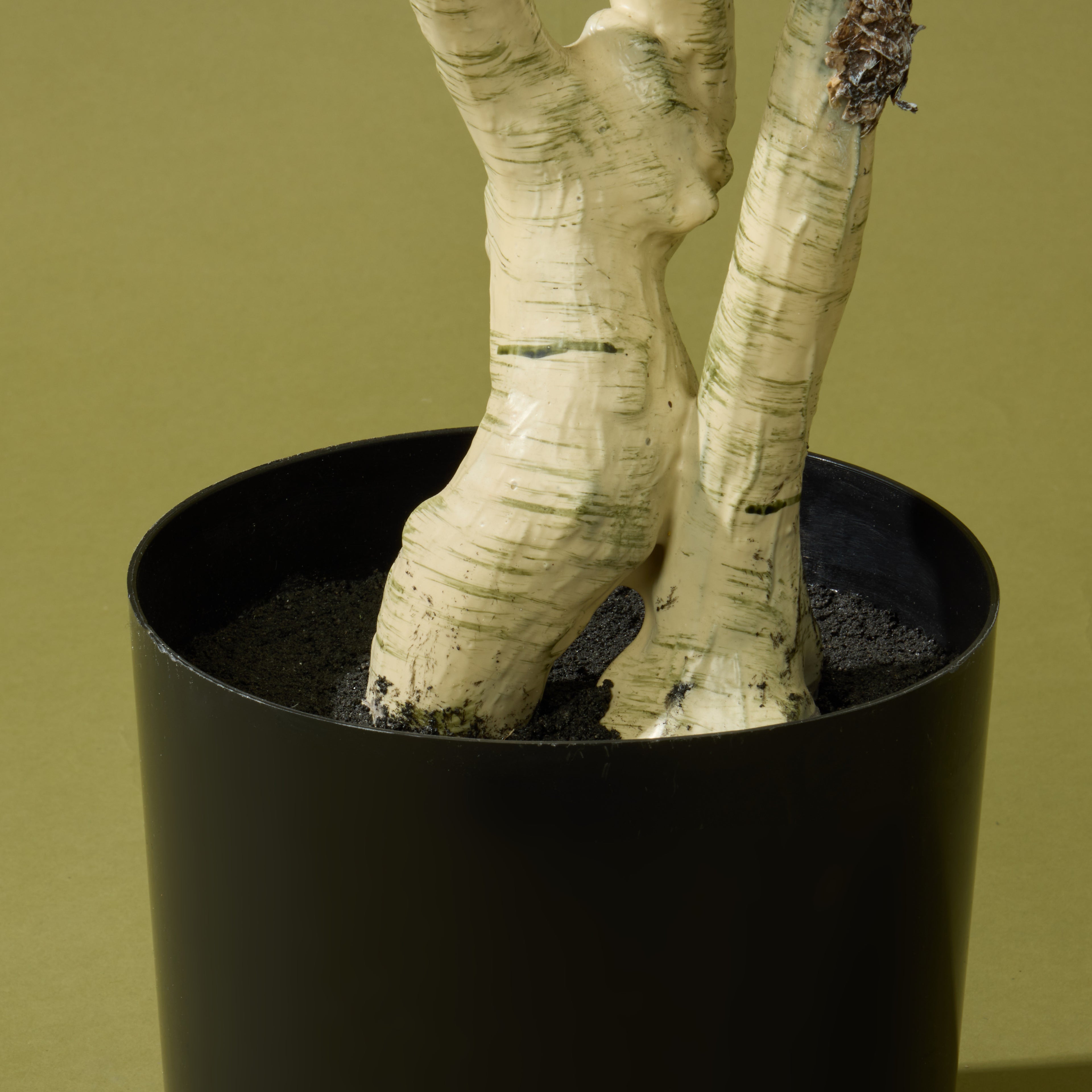 Faux Silver Birch Tree - Garden Pot  | 208cm