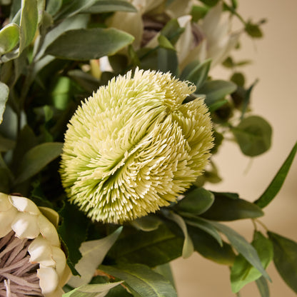 Faux Australis Protea Eucalyptus Mix - Maliah Pot | 79cm