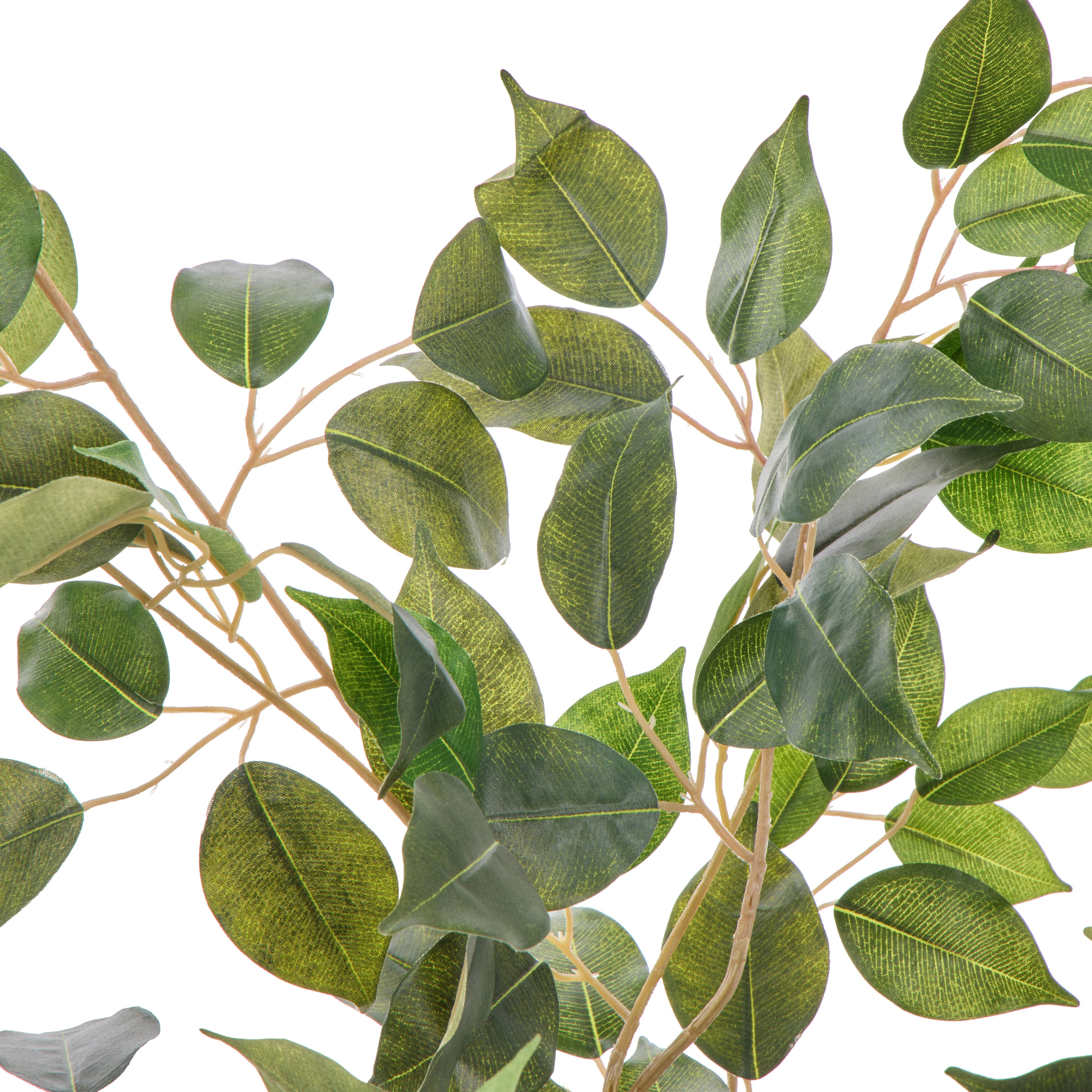 Faux Ficus Tree - White Pot | Green -  120cm