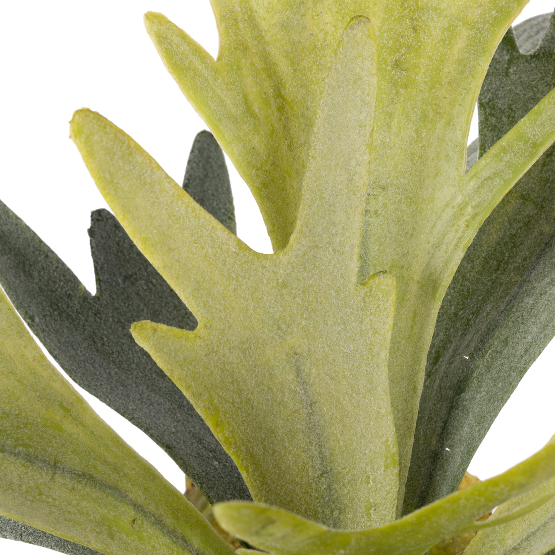 Faux Staghorn - Delos Planter | Green - 34cm