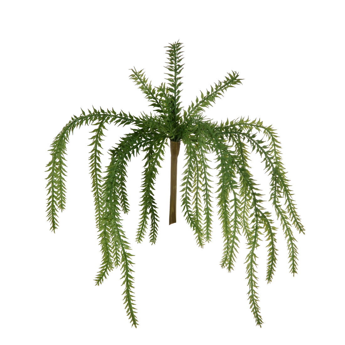 Rogue Tassel Fern Green