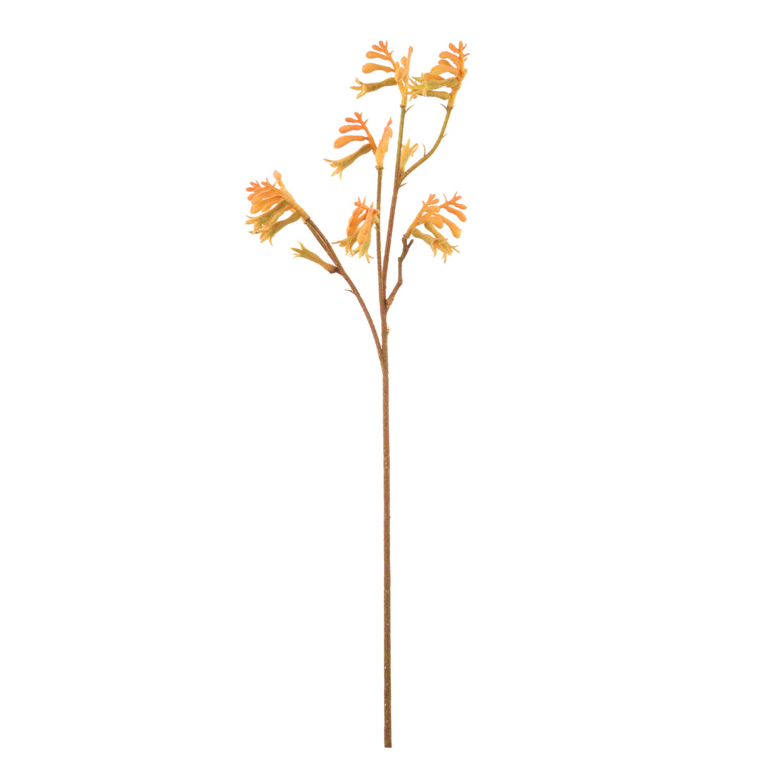 Faux Kangaroo Paw Spray | Orange - 62cm