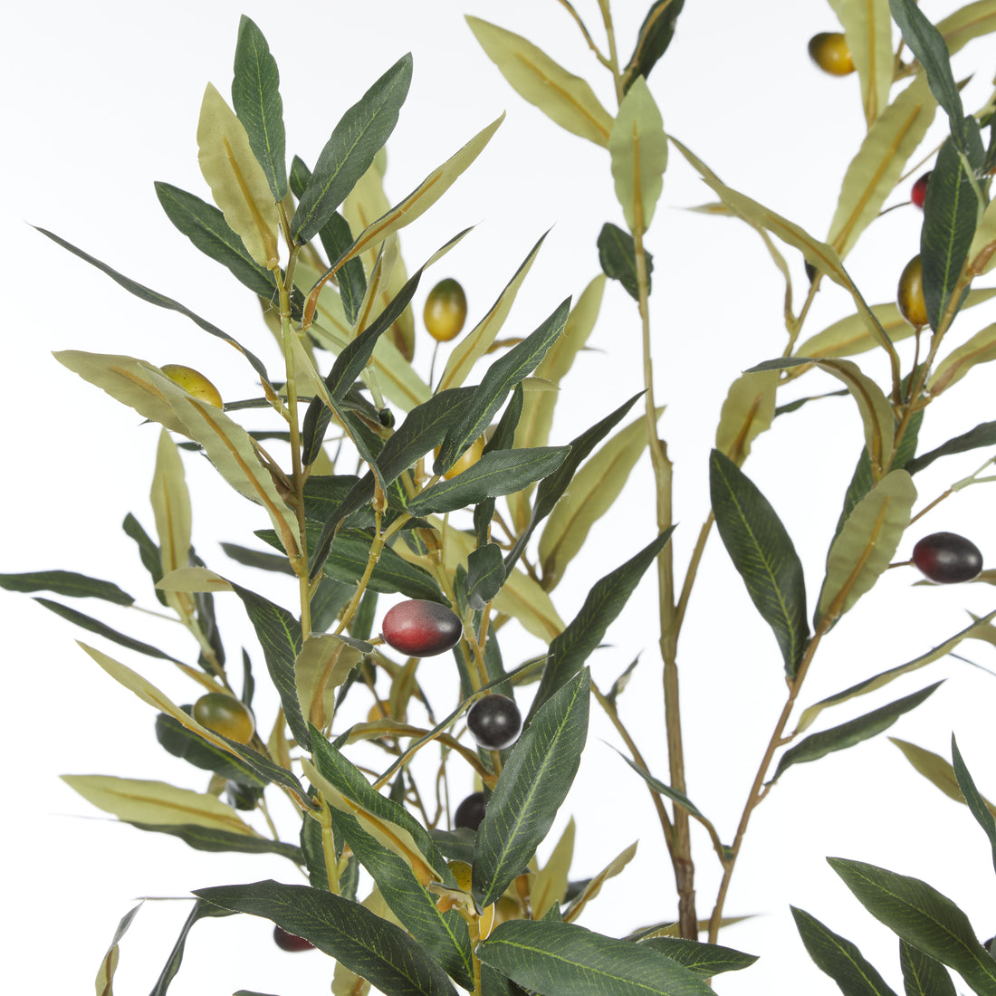Rogue Olive Tree - Trillium Planter Green