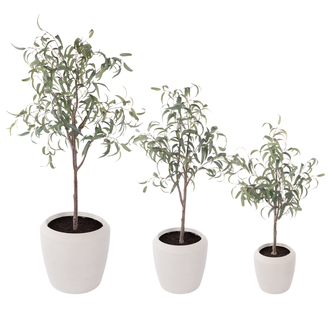 Rogue Eucalyptus Tree - Vienna Planter