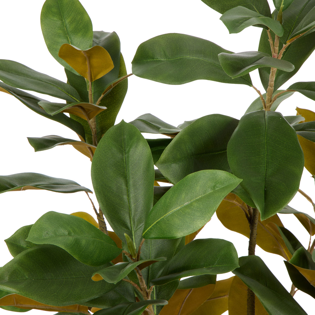 Faux Magnolia Tree Pot | Green -  150cm