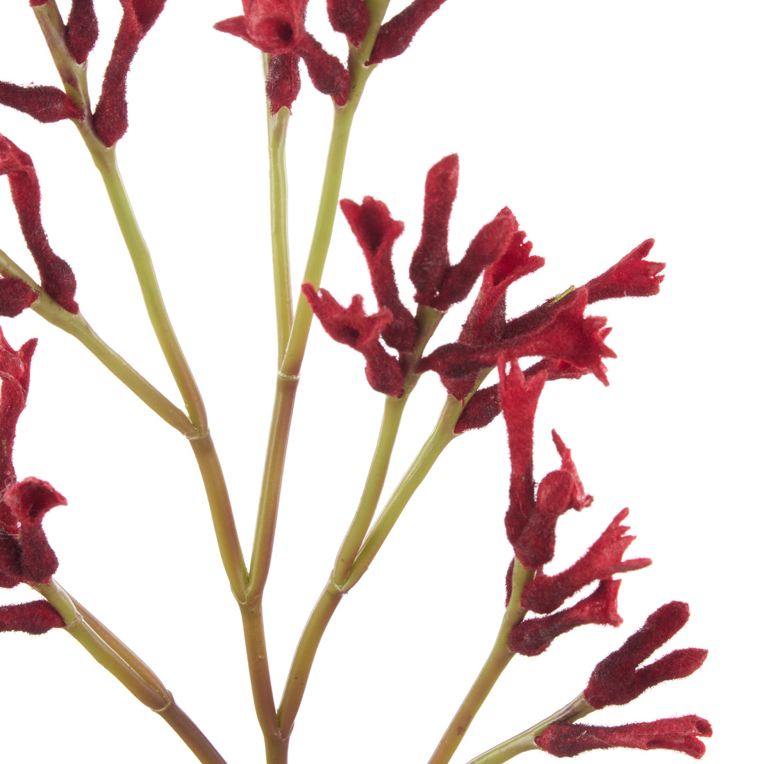 Faux Kangaroo Paw Spray | Red - 77cm
