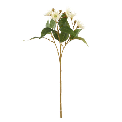Rogue Eucalyptus Flower Spray White
