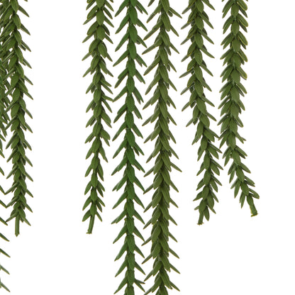 Rogue Princess Pine Garden Pot Green