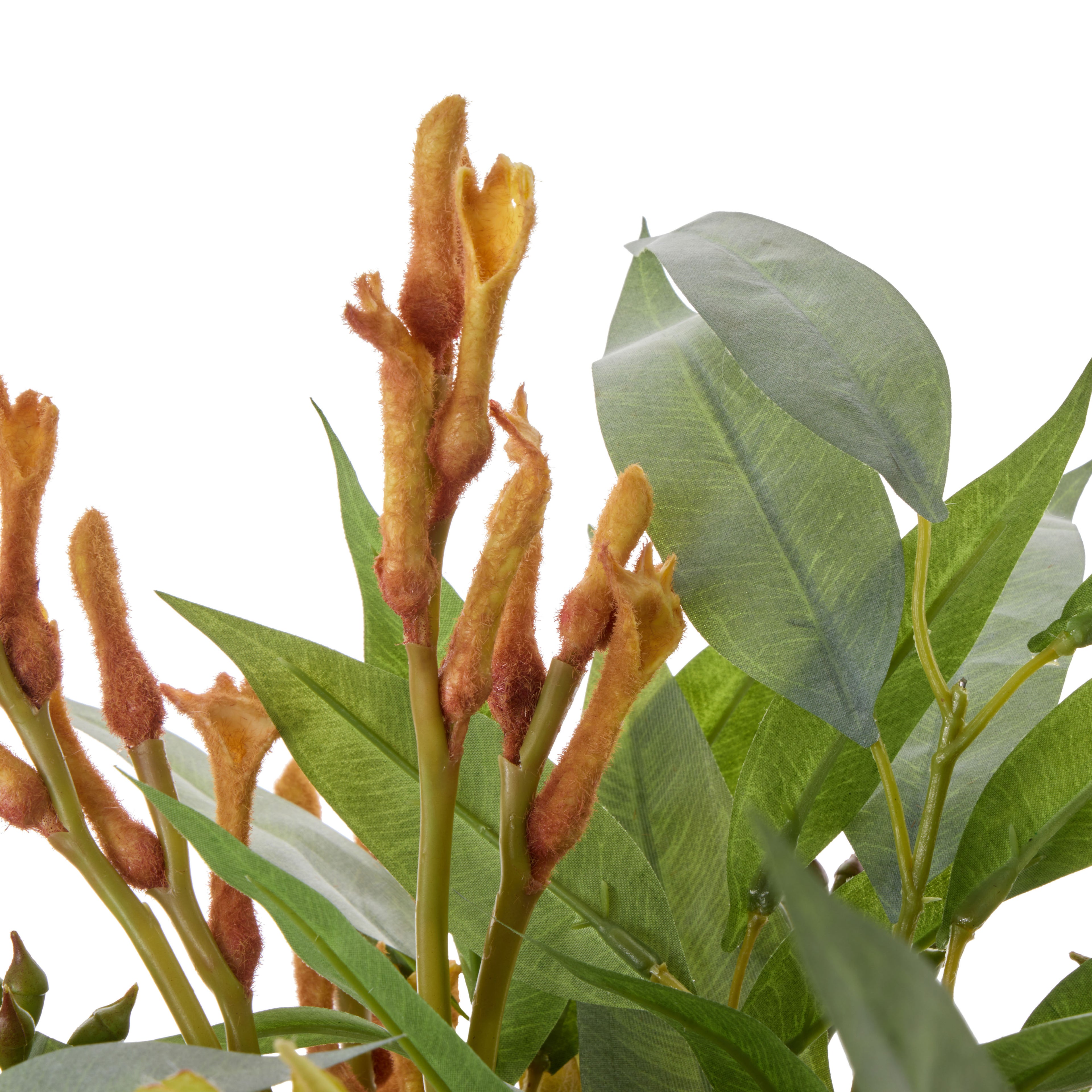 Faux Protea Kangaroo Paw - Claire Vase | Green -  47cm