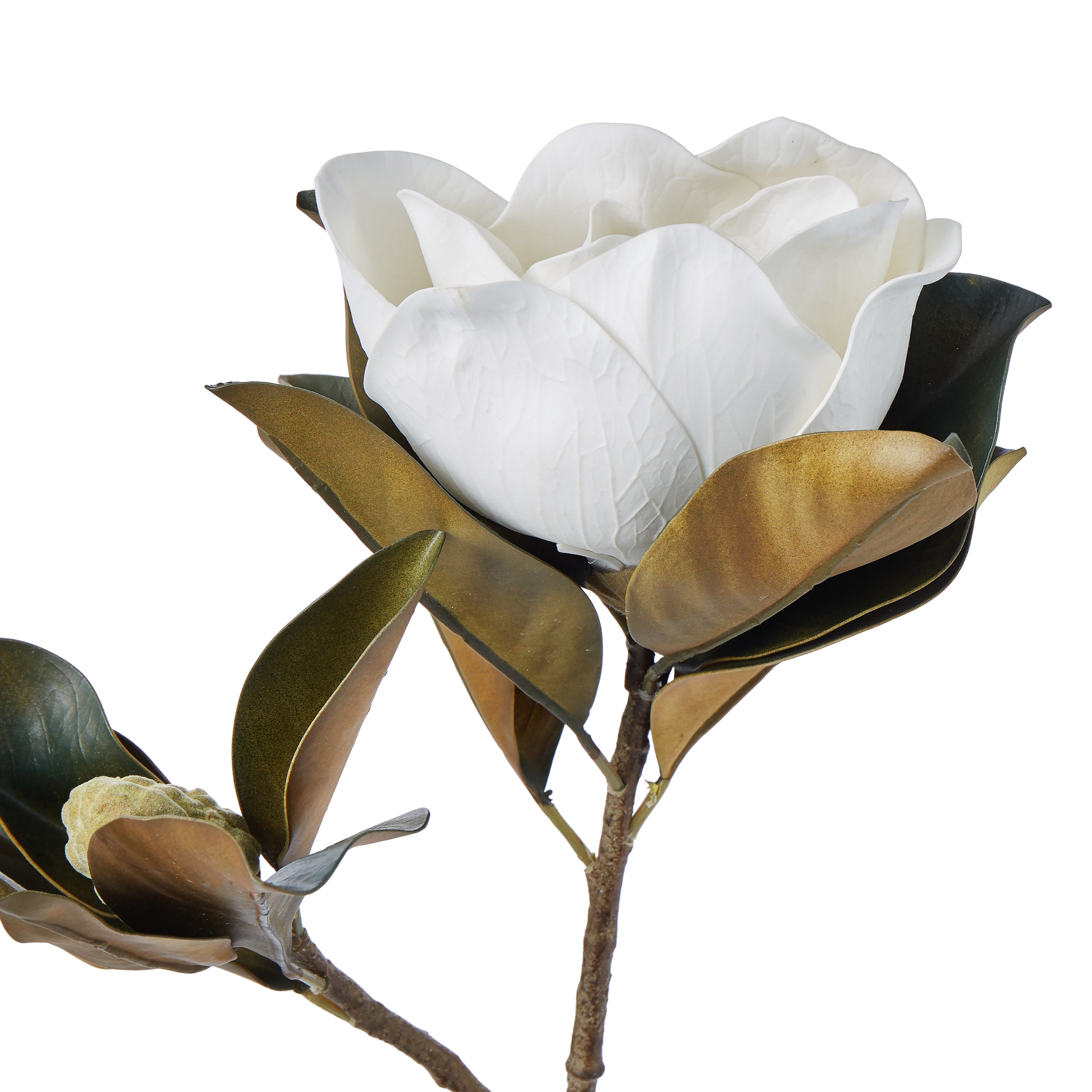 Faux Magnolia Grandiflora Stem | White - 66cm