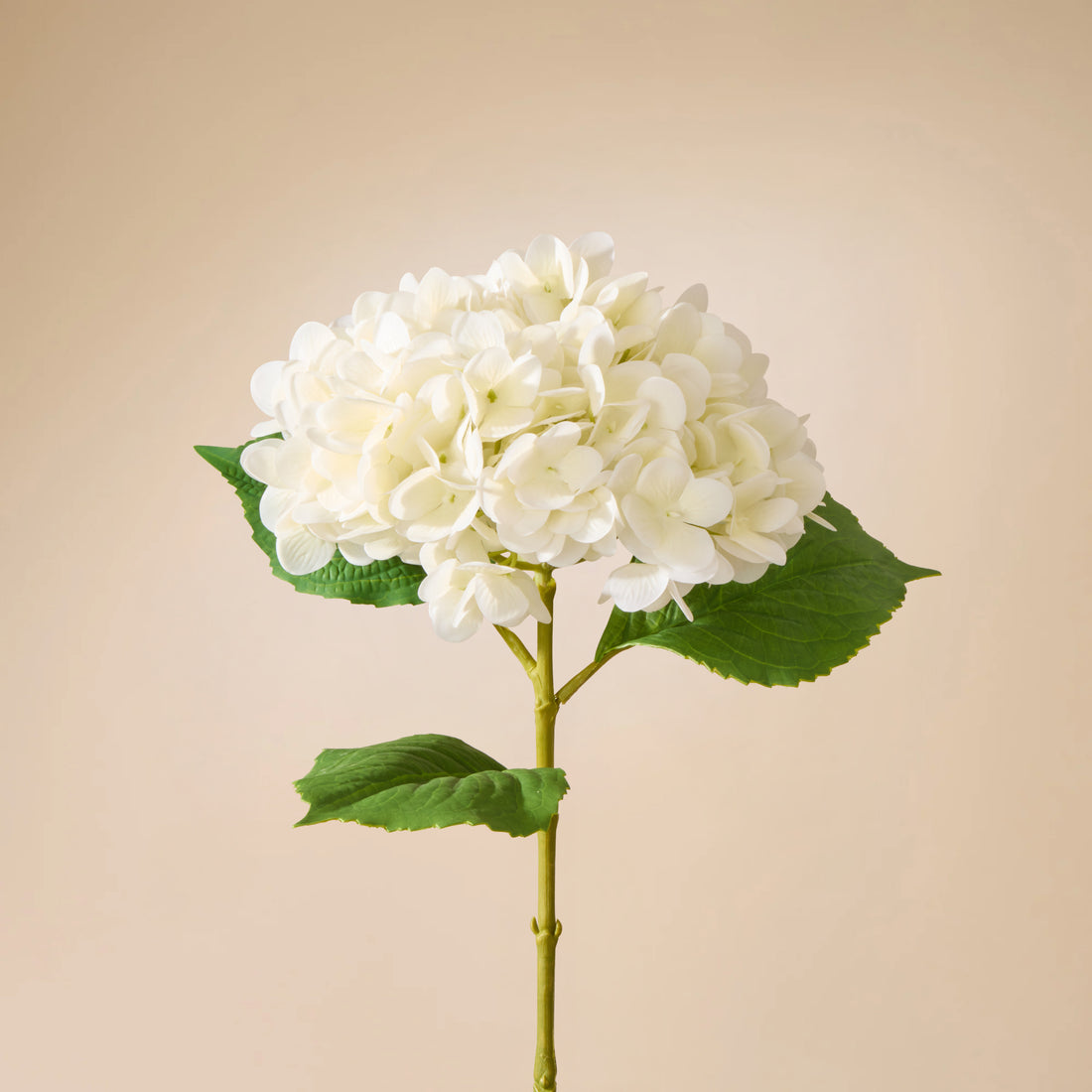 Faux Hydrangea Stem | White - 66cm