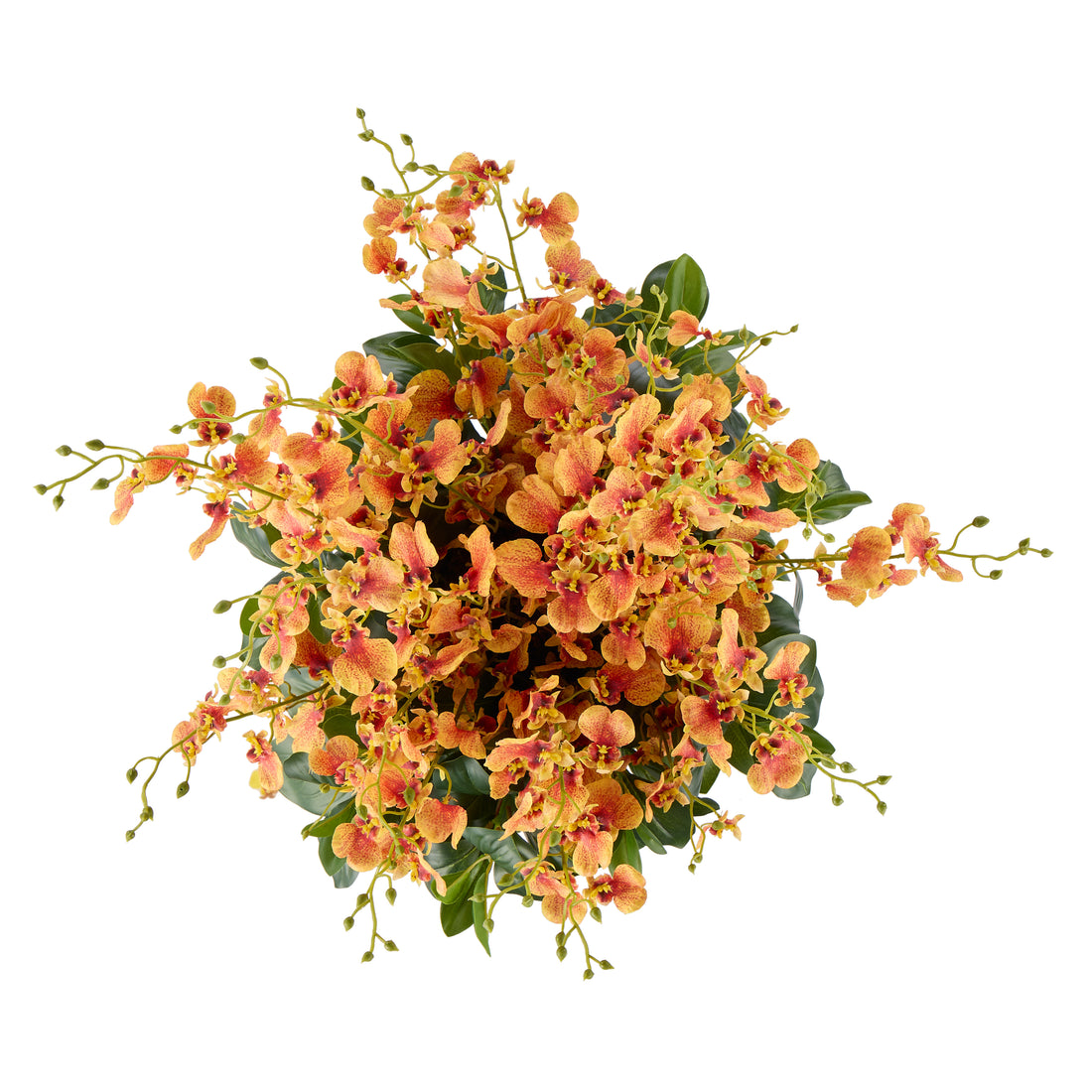 Faux Dancing Orchids - Madelyn Bowl | Orange - 58cm