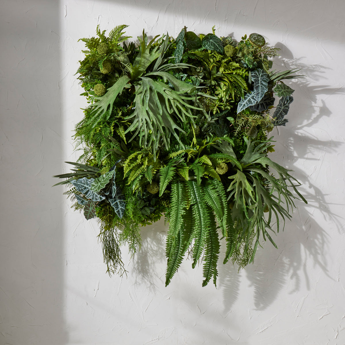 Rogue Boston Wall Fern Green