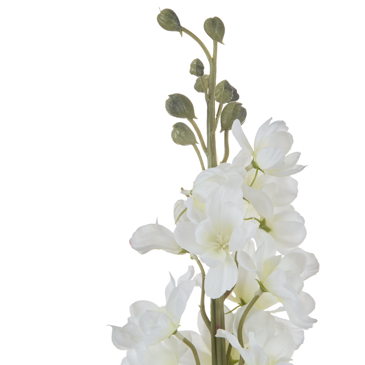 Rogue Delphinium Stem White