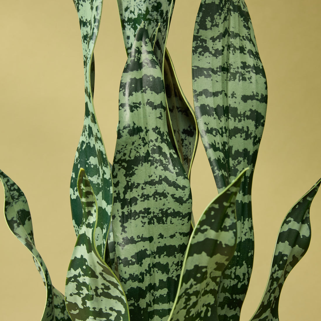 Faux Sansevieria Plant - Garden Pot | 65cm