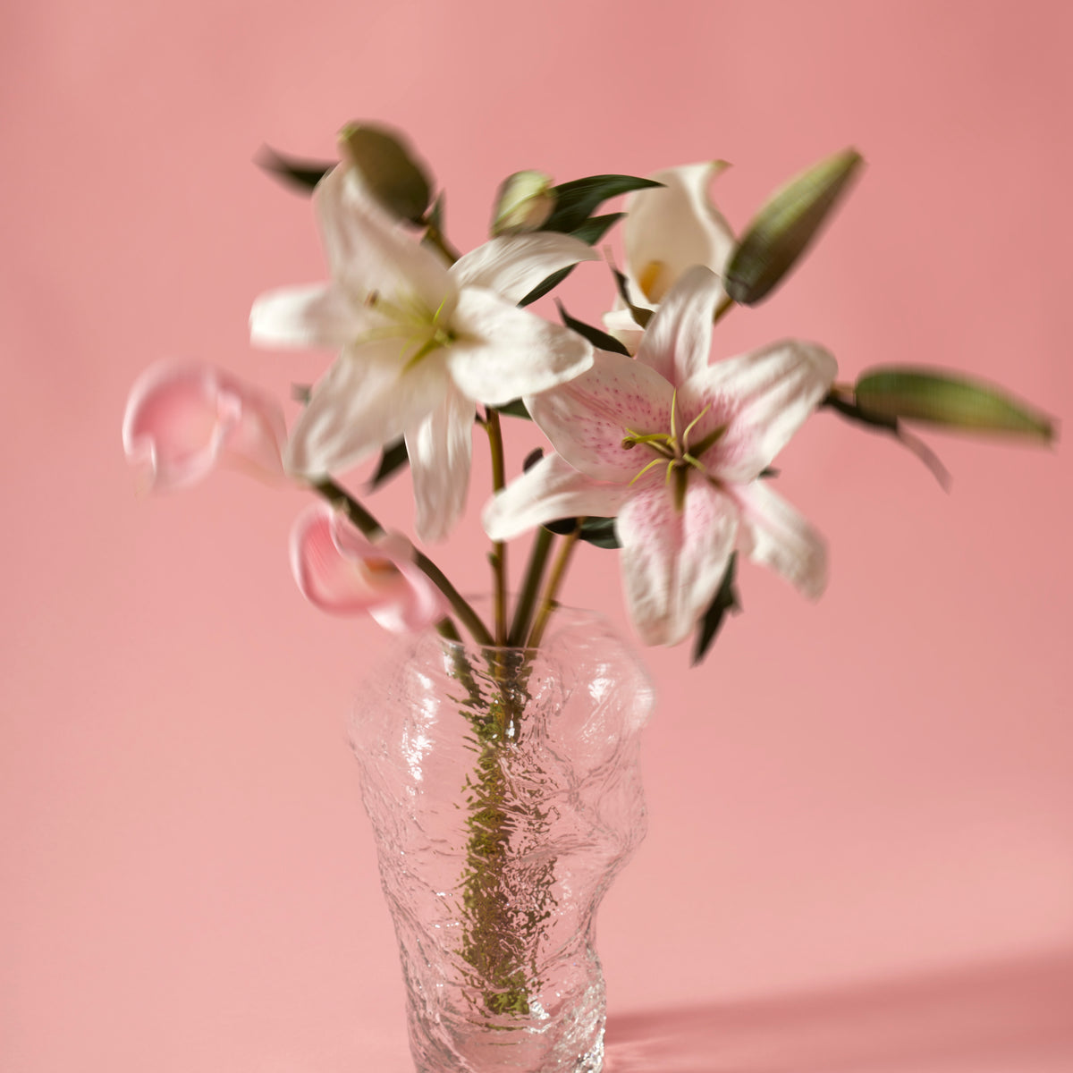 Rogue Casablanca Lily White