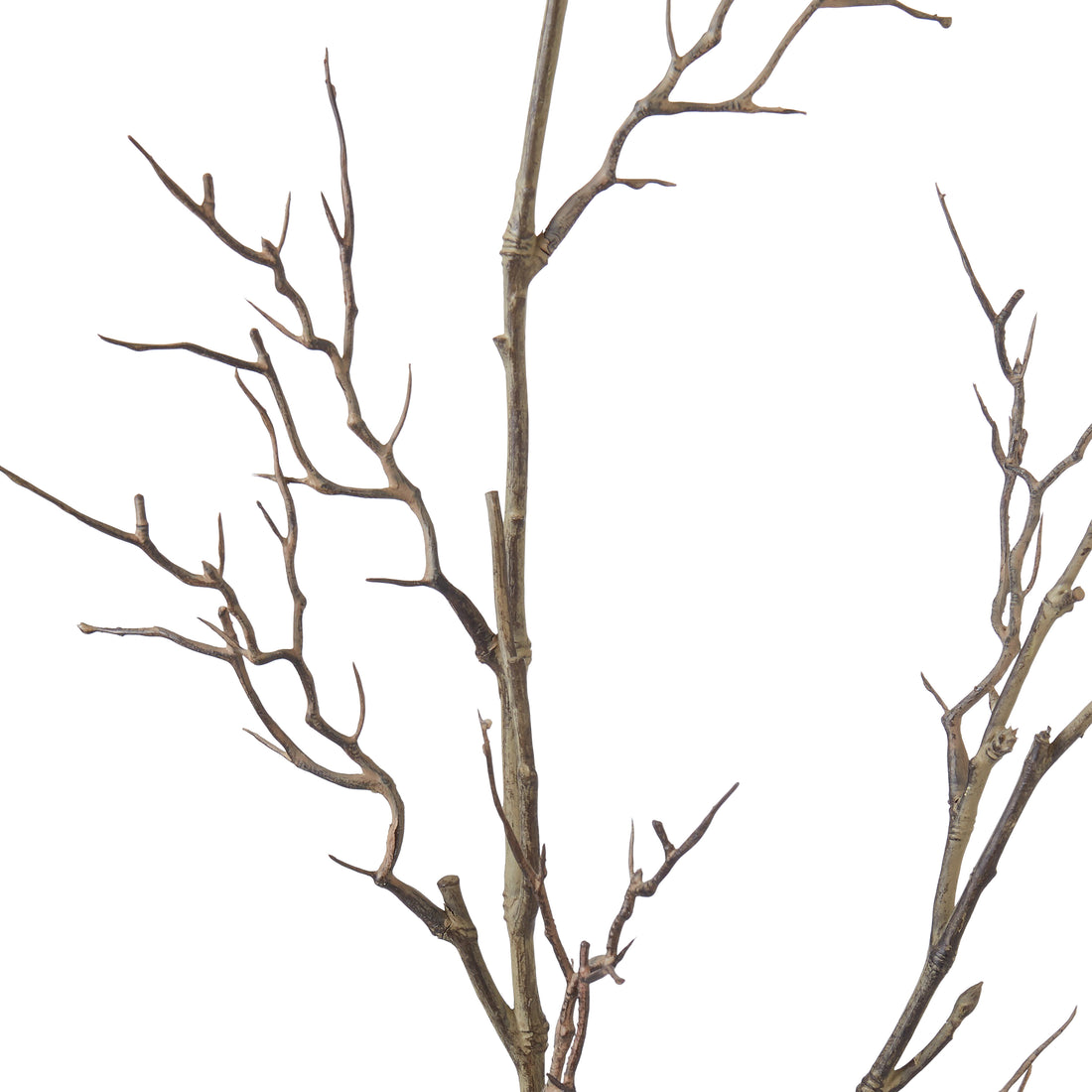 Rogue Twig Branch Brown
