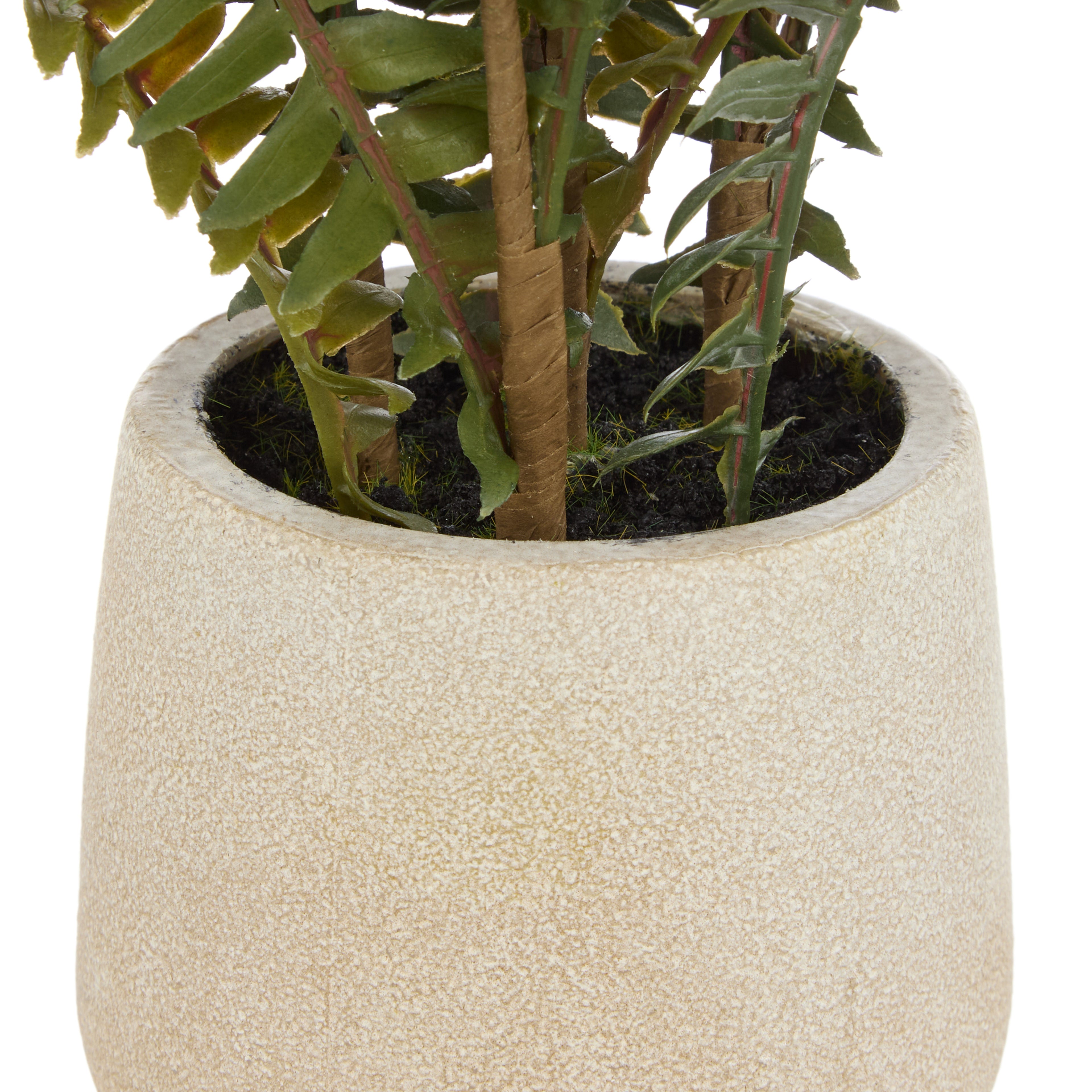Faux Boston Fern - White Pot | 46cm