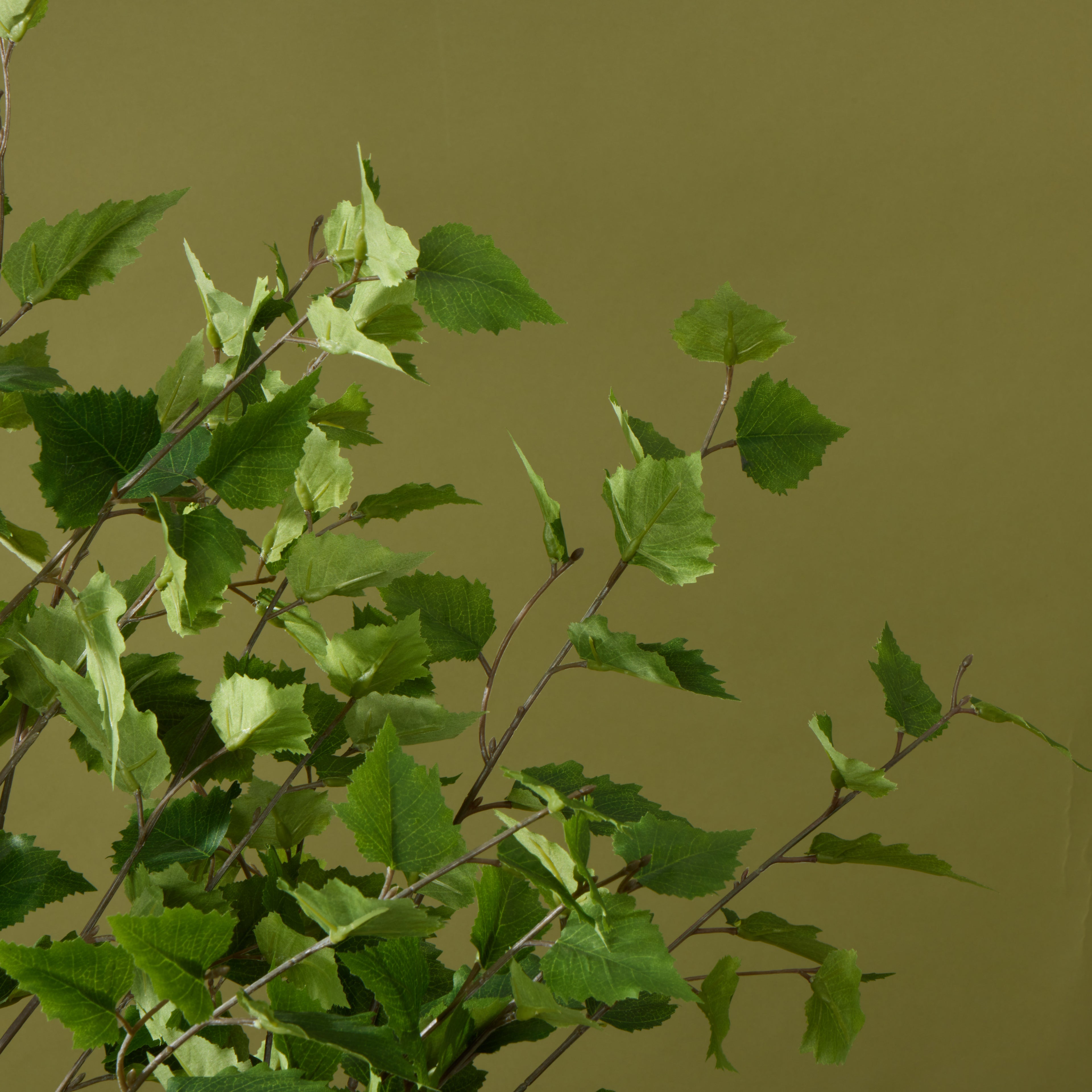 Faux Silver Birch Tree - Garden Pot | 155cm