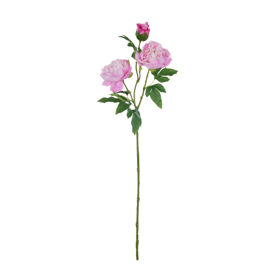 Rogue Peony Spray Real Touch Pink