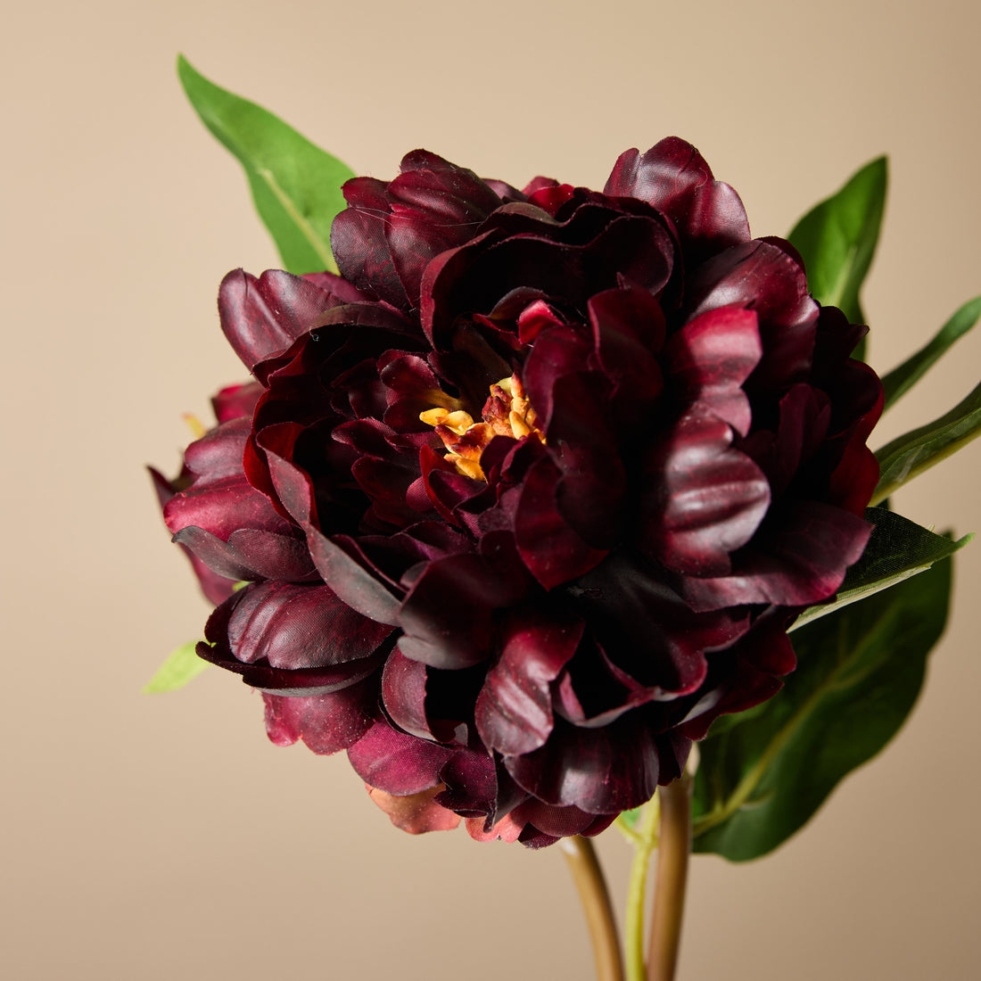 Faux Peony Bud Stem | Brown - 56cm