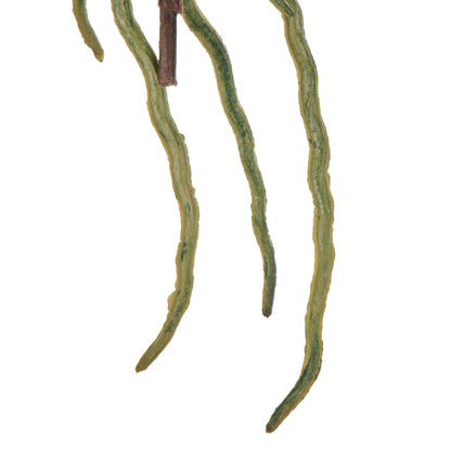 Rogue Orchid Rooted Foliage Green