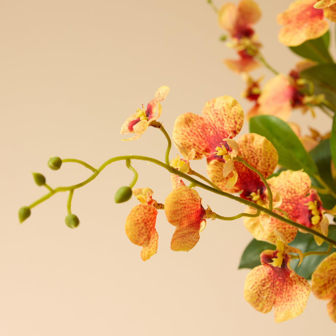 Faux Dancing Orchids - Madelyn Bowl | Orange - 58cm